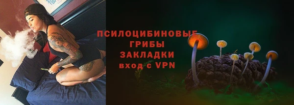 дурь Алексин