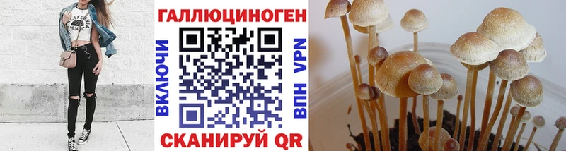 Псилоцибиновые грибы ЛСД  blacksprut сайт  Липки 